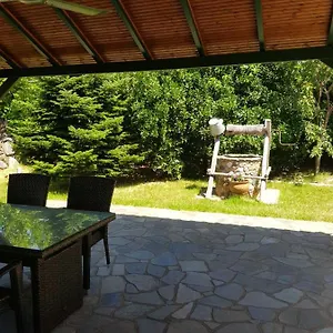 https://evangelia-apartments.hotelschalkidiki.net